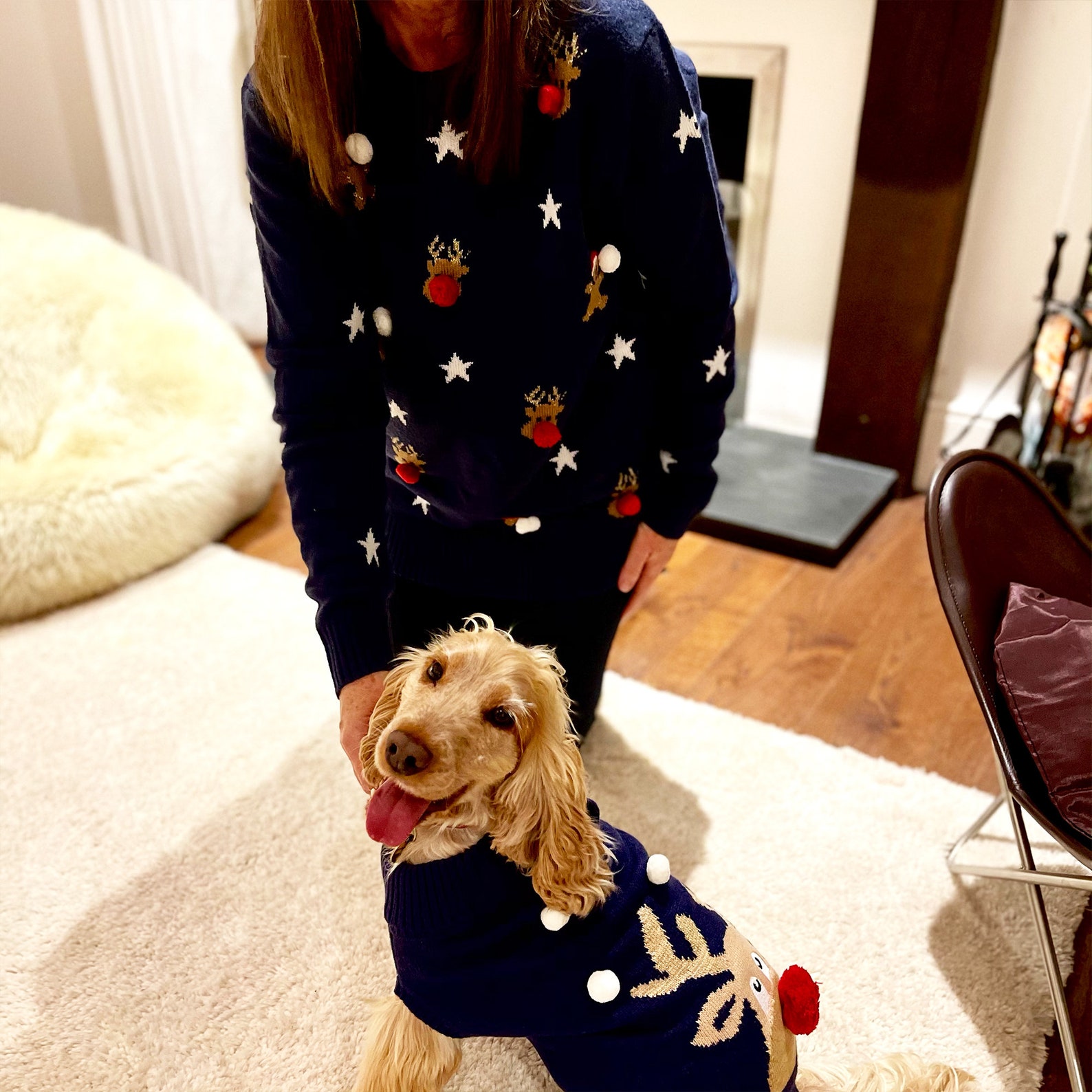 Matching Dog Family Christmas Jumper Etsy