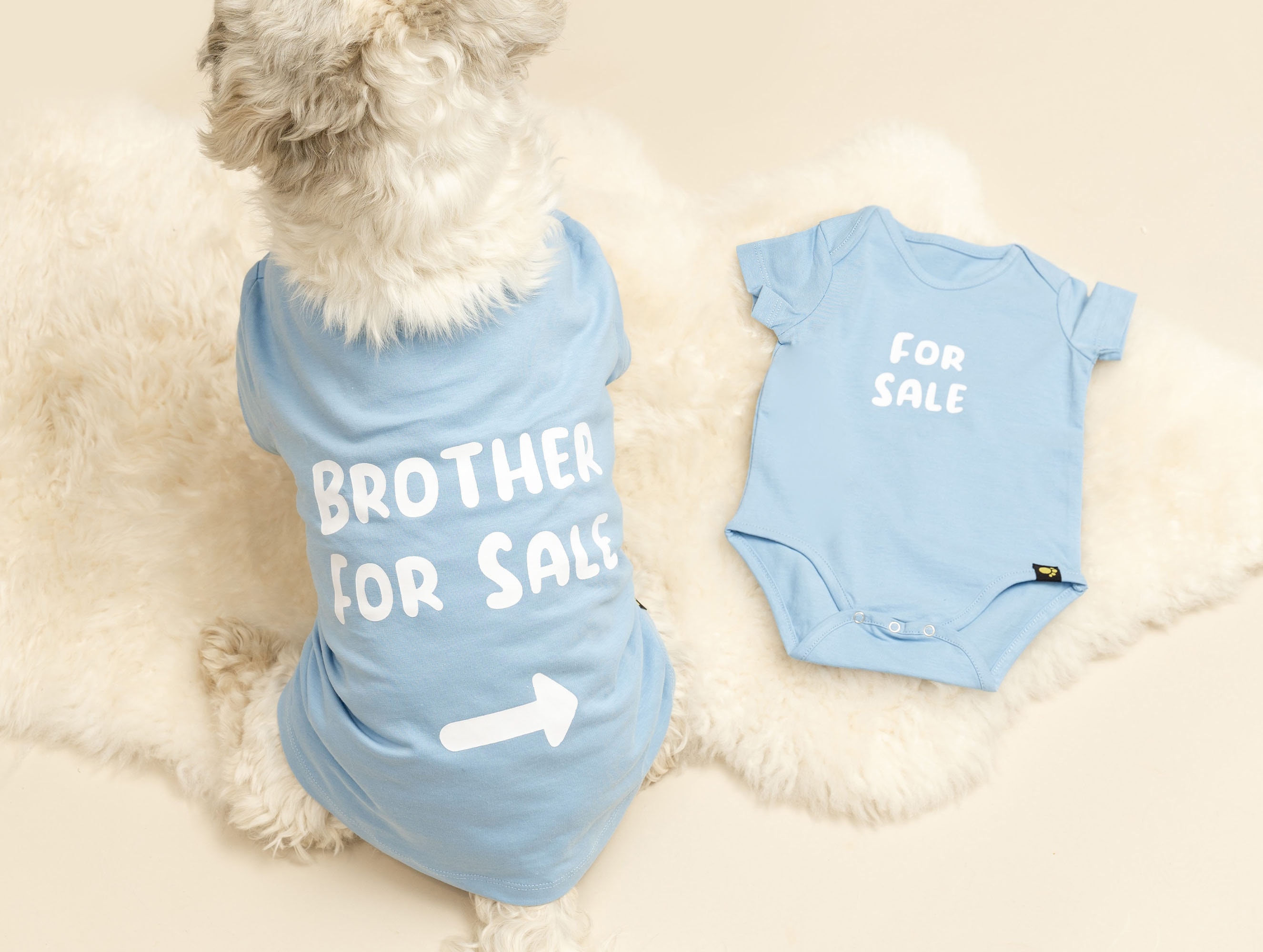 Matching dog and baby clothes 2025