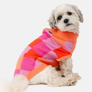 Puede incluir: Un pequeño perro blanco con un suéter a cuadros rosa y naranja. El suéter tiene un cuello de tortuga.