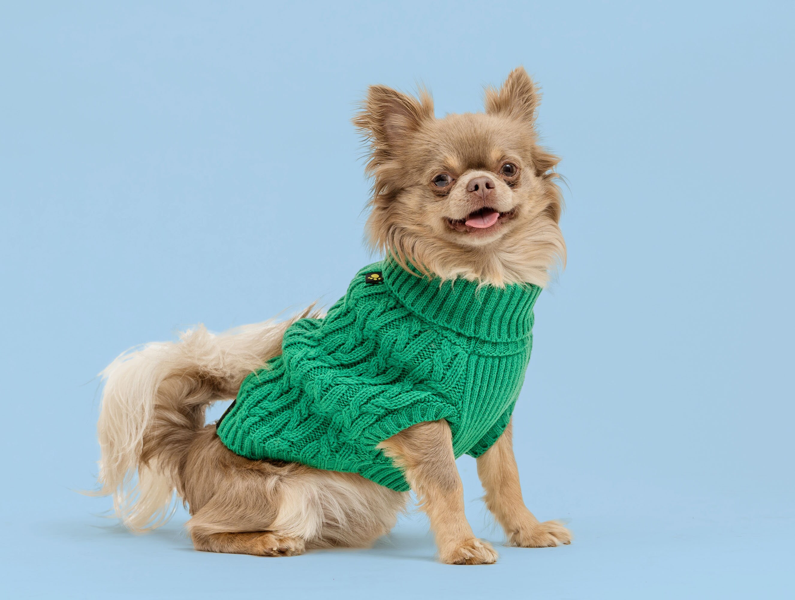 Tiny dog sweater 2025