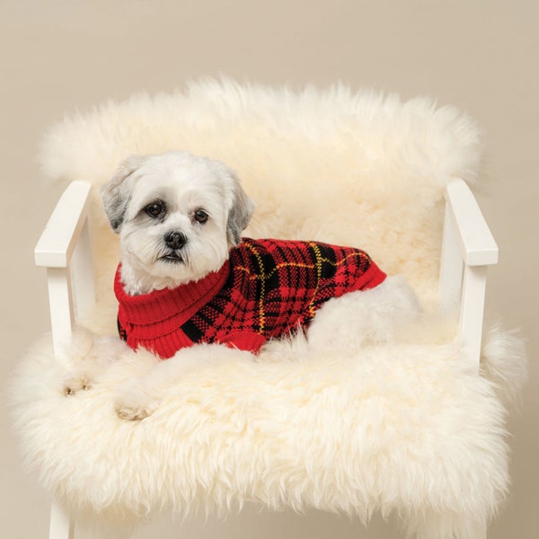 Pull pour chien tartan hot-dog