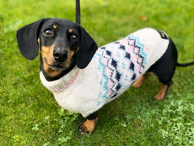 Hotdog Lumi Miniature Dachshund Dog Jumper Etsy UK