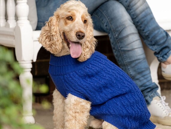 Cocker Spaniel Sneakers - Blue Cocker Spaniel Sneakers - Blue