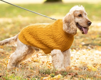 Pull torsadé jaune moutarde Hotdog pour chien