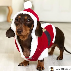 Dog Christmas Miniature Dachshund Santa Jumper