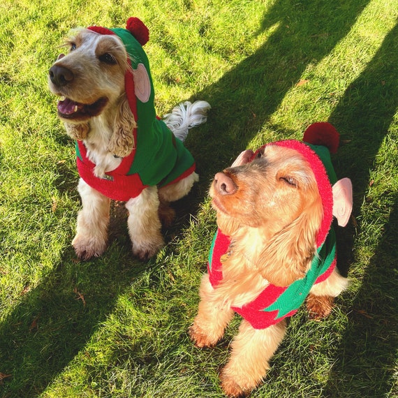 dog elf jumper