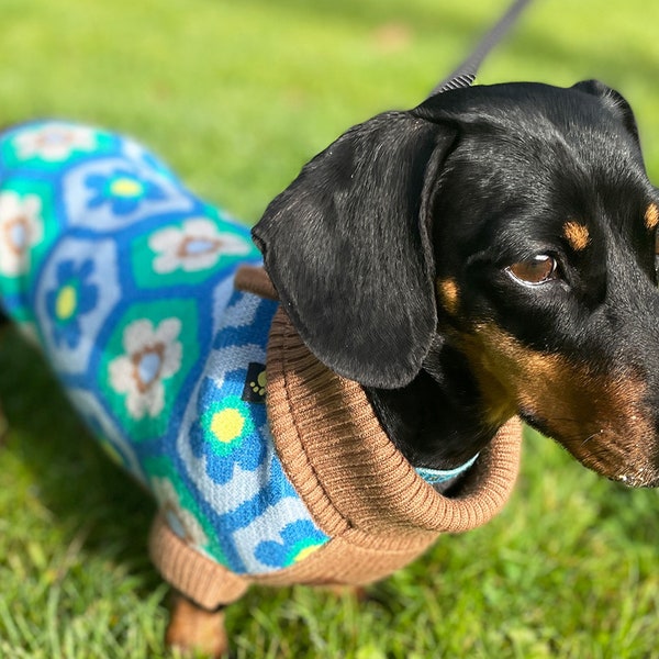 Hotdog Daisy Miniature Dachshund Dog Jumper