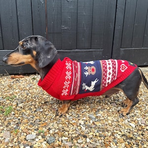 Puede incluir: Un perro salchicha con un suéter navideño rojo con un patrón de renos y copos de nieve. El suéter tiene una sección azul marino con un diseño de reno blanco. El perro está sobre una superficie de grava.