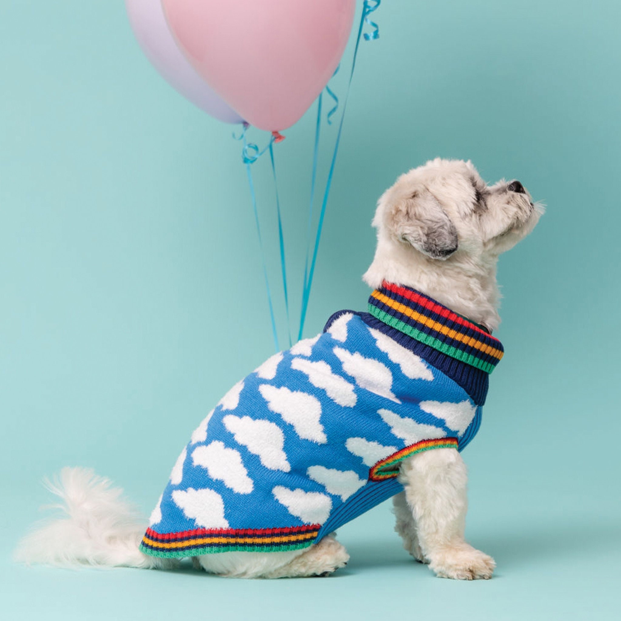 Hotdog Cloudy Dog Jumper