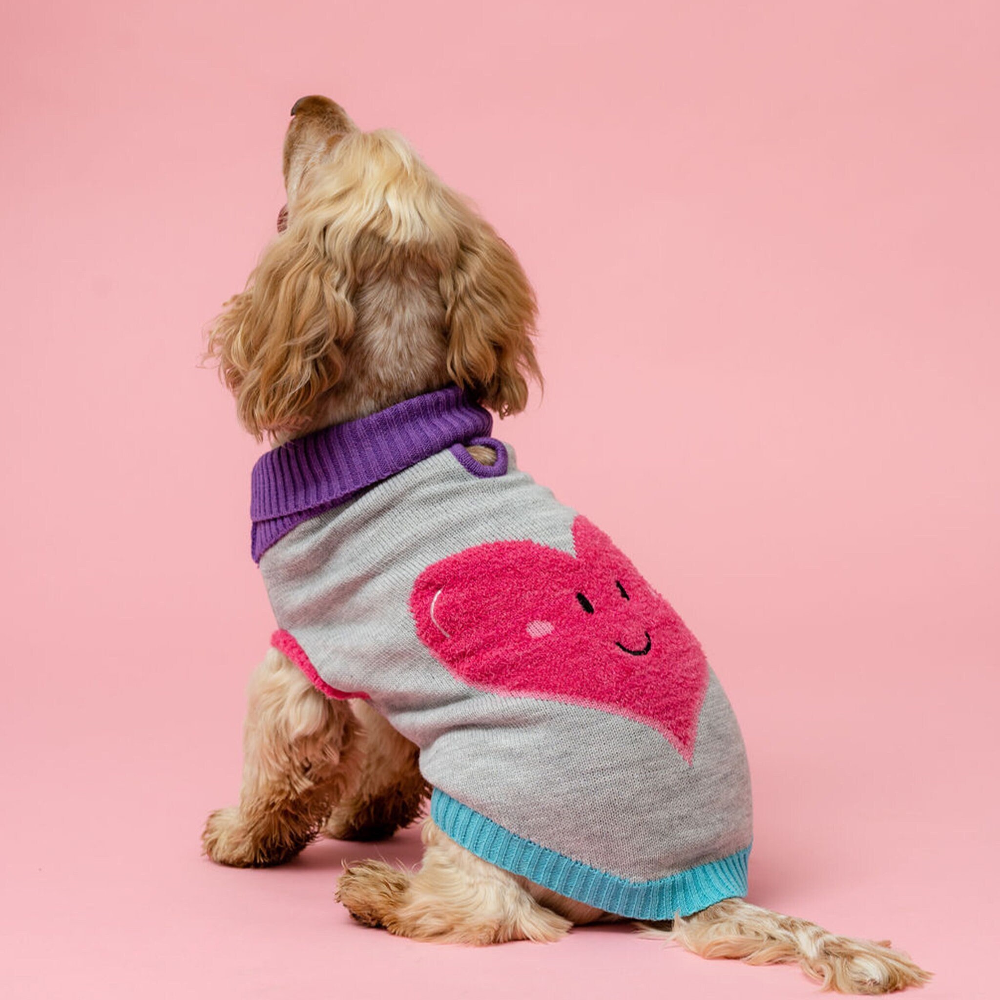 Hotdog Heart Dog Jumper