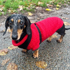 Red Cable Mini Dachshund Jumper