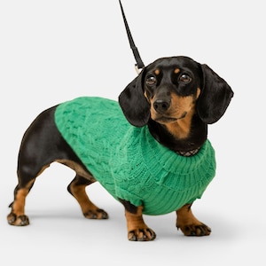 Hotdog Green Mini Dachshund Jumper