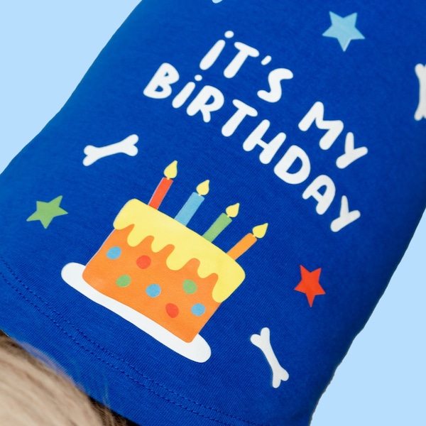 Hotdog Blue Birthday Graphic T-Shirt