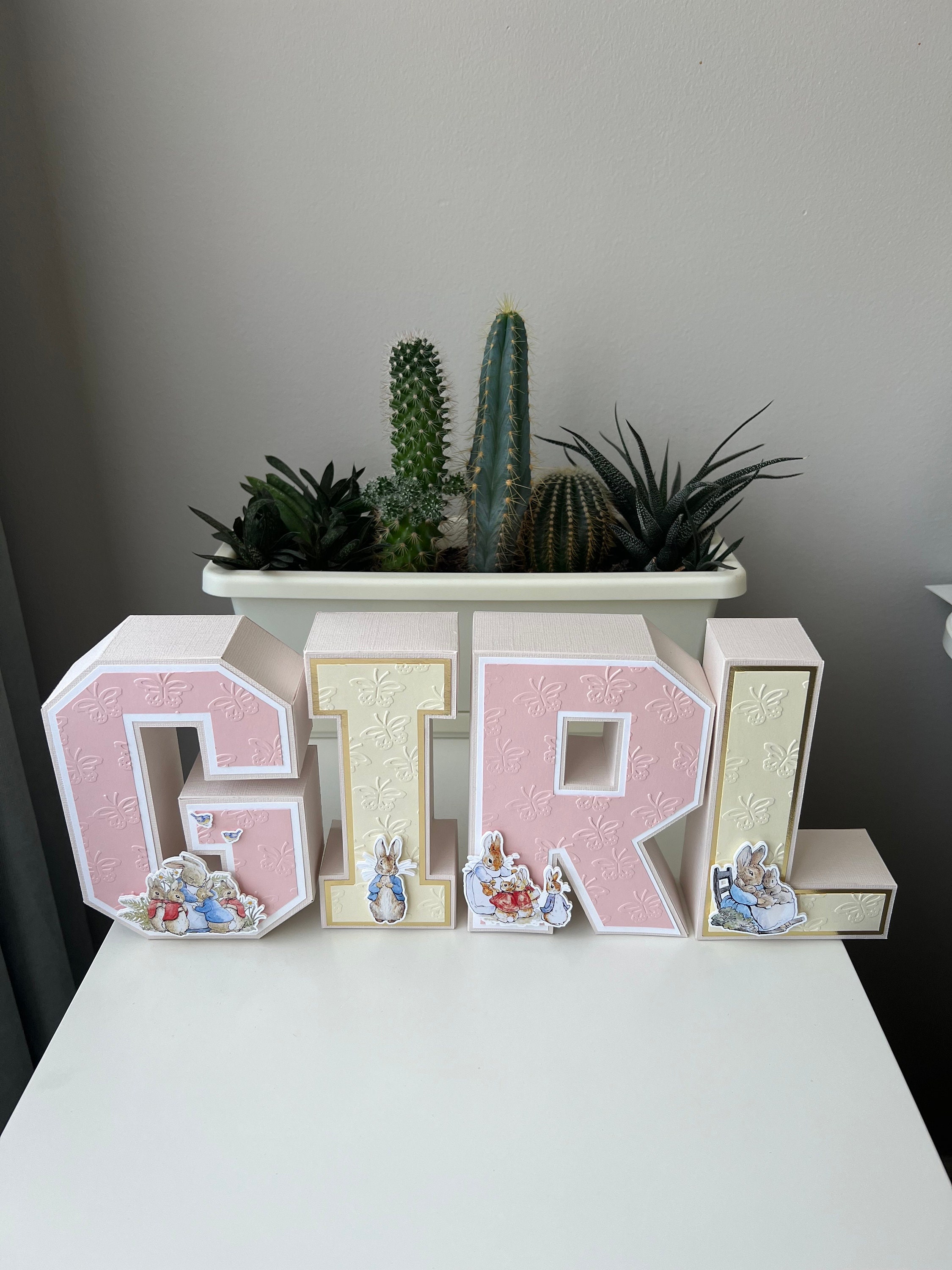 Girl Peter Rabbit Baby Shower 3D Letters Vintage Peter Rabbit Theme Beatrix Potter Birthday Party Decor Candy Table