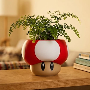 Puede incluir: Una maceta roja y blanca con forma de hongo con una planta verde en su interior. La maceta tiene un diseño de dibujos animados con ojos negros y una base beige. Se encuentra en una estantería de madera con una foto enmarcada y libros.