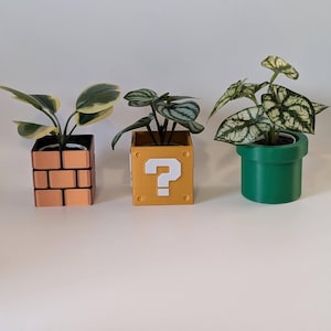 May include: Three small potted plants. The pots are designed as a brown brick block, a yellow question mark block, and a green pipe. The plants have green and variegated leaves. The pots are on a white surface.