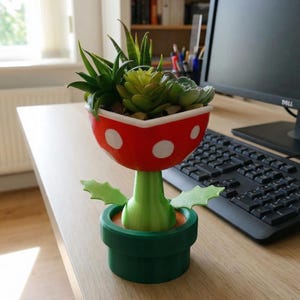 Mario Petey Piranha Plant Pot: Succulent Planter with drainage