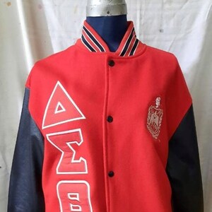 Delta Sigma Theta Gorgeous Soft Varsity Jacket w/ Leather Sleeves!