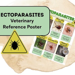 Veterinärmedizin Ektoparait Spickzettel | Flea Tick & Mite Referenz Poster | Vet Tech Lernführer