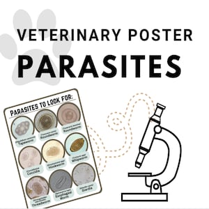 Poster veterinaire parasieten – referentiekaart fecale microscopie voor dierenartsenpraktijken en studenten