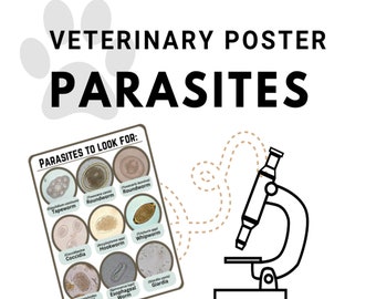 Guía fecal de parásitos intestinales - Póster veterinario