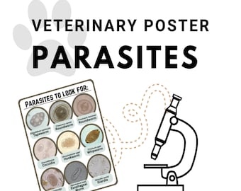 Darmparasit Fäkalführer - Veterinär Poster