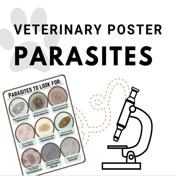 Intestinal Parasite Fecal Guide - Veterinary Poster