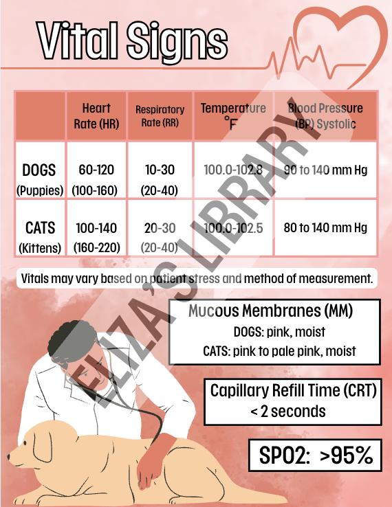 Recover Veterinary Rythym Chart Veterinary Vital Signs Reference Chart | Dog & Cat | Vet Tech Study ...