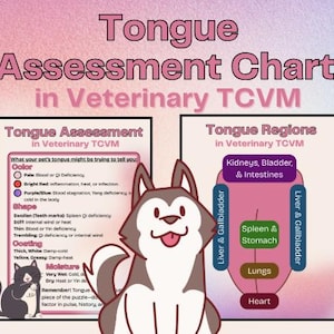 Puede incluir: Un gráfico de evaluación de la lengua para la medicina veterinaria tradicional china (TCVM). El gráfico muestra las diferentes regiones de la lengua y a qué corresponden en el cuerpo. El gráfico también incluye un diagrama de la lengua de un perro con diferentes colores y formas para indicar diferentes condiciones.