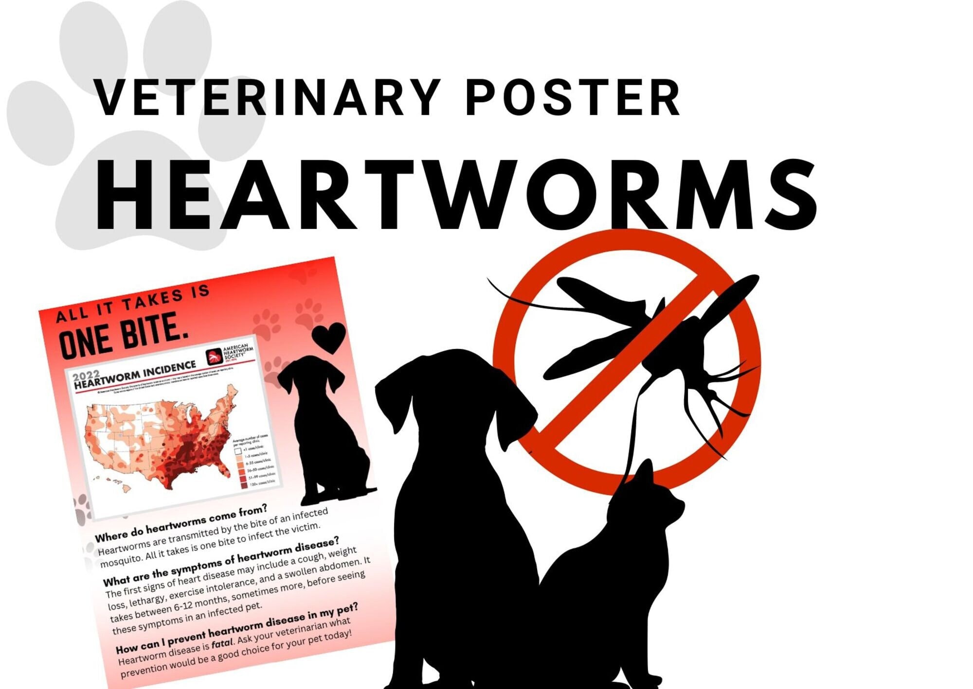 Heartworm