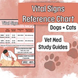 May include: A reference chart titled "Vital Signs" for dogs and cats, with a veterinarian examining a dog. The chart includes normal ranges for heart rate, respiratory rate, temperature, and blood pressure. Text also includes "Vet Med Study Guides."
