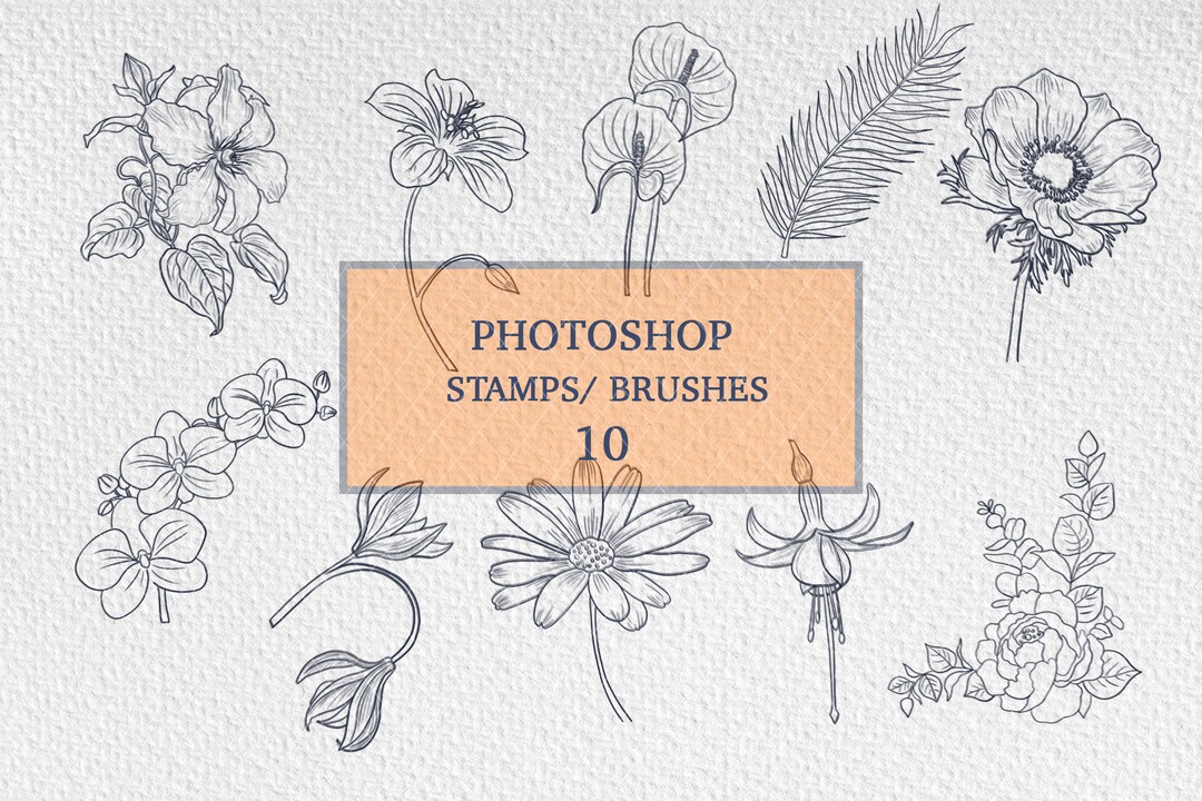 Floral Photoshop Brushes | Botanical Line Art Stamps | Procreate ...