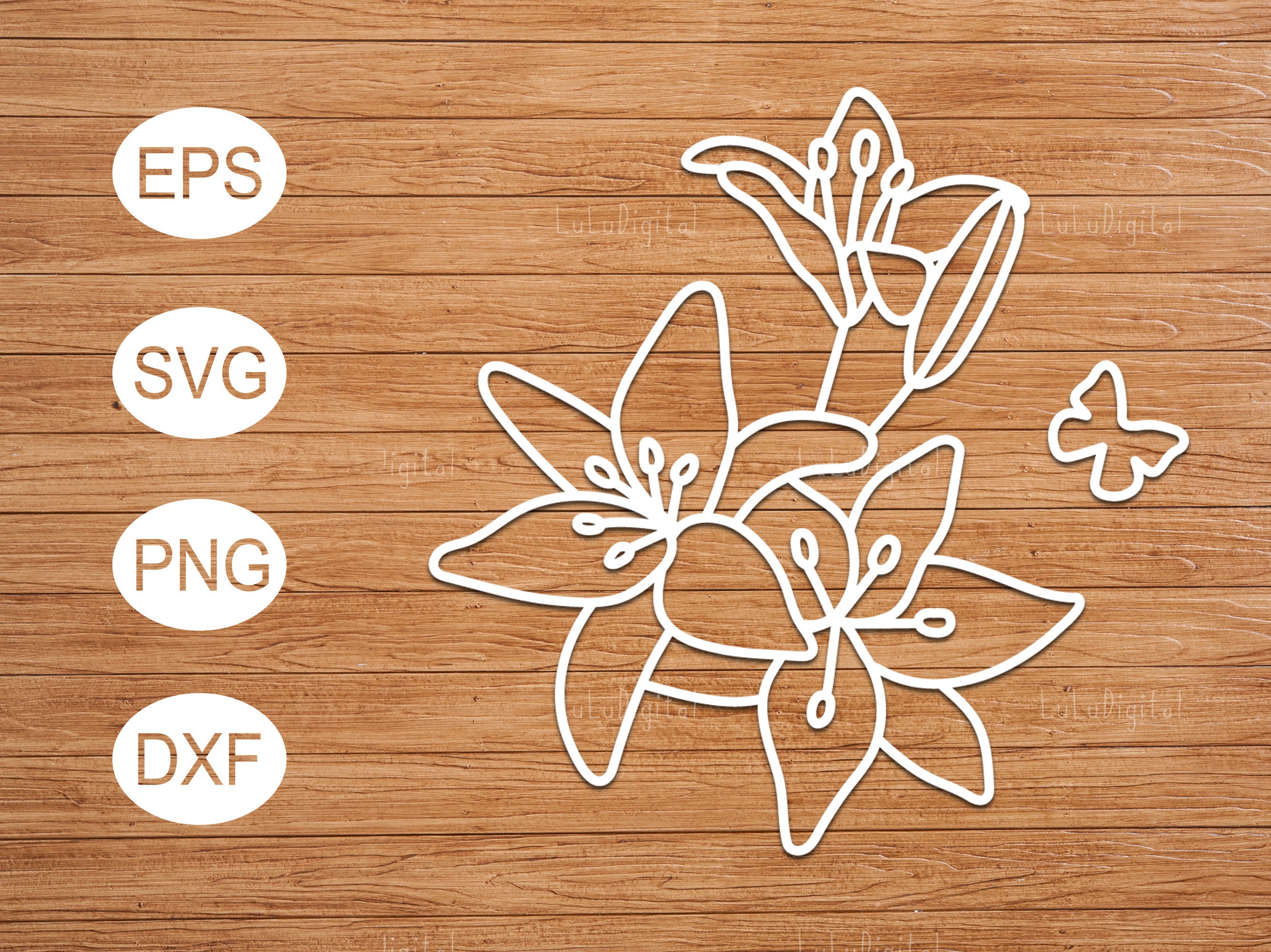 Lily Flower/ Flowers/ Svg, Png, Eps, Dxf Etsy
