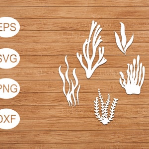 Seaweeds svg / seaweed svg /  seaweed png / corals svg / underwater, marine plants svg / marine svg /svg, png, eps, dxf