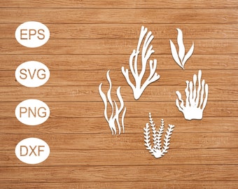 Seaweeds svg / seaweed svg /  seaweed png / corals svg / underwater, marine plants svg / marine svg /svg, png, eps, dxf