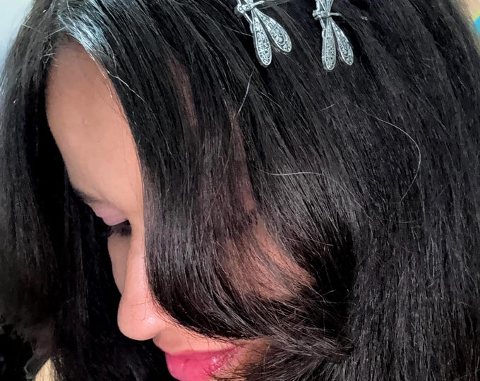 Dragonfly Hair Clip Set: Metal Barrette, Non-Slip Accessories