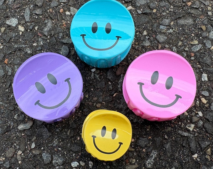 Happy Face Clips: Flowers Barrette Set - Plastics Summer Hair Accessories-