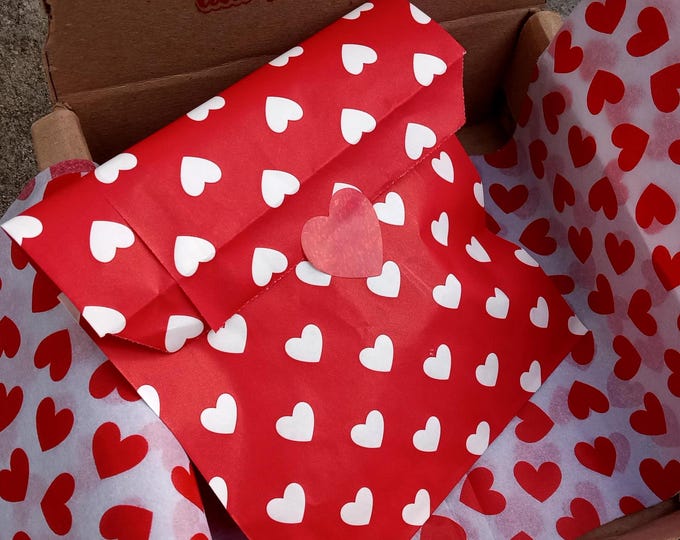 Surprise Valentine’s Day-Snap Clip or Hair Bow-Random Holiday Bag-collection Accessories-Gift-Baby Hair-Toddler-Love Gift-