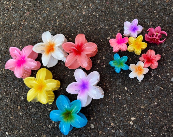 Hibiscus Flower Hair Clip or Earrings: Hawaiian Summer Acetate Jewelry