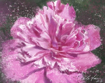 Peony painting , pink Peony print from an original painting, flowers  painting