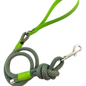 Wisteria Hundeleine - Paracord & Biothane / Veganes Leder