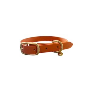 Burnt Orange Veganes Leder Hundehalsband - Biothane & Wasserdicht