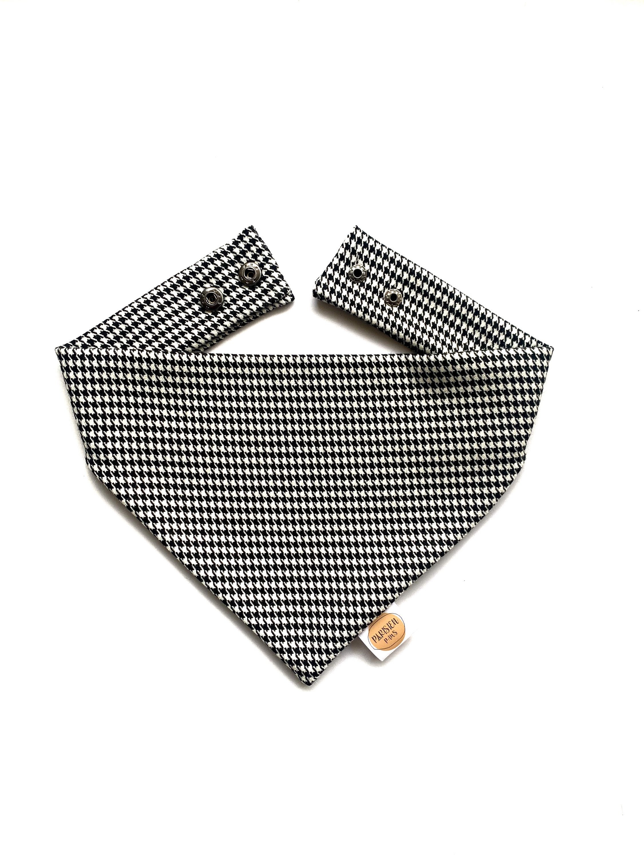 Bandana de Chien en Dents Chien