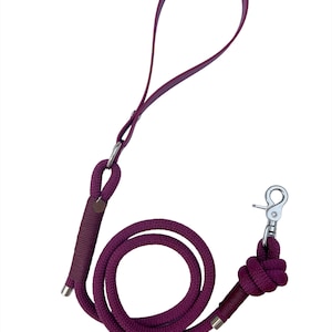 Hundeleine Aubergine - Paracord & Biothane / Vegan Leder