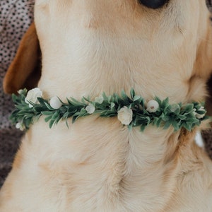 Dog ring bearer Wedding dog flower crown Dog wedding attire