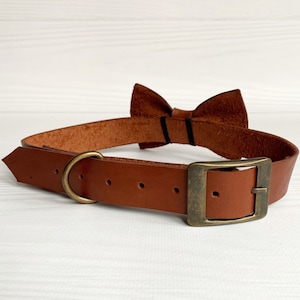 Leather dog collar with bow tie Wedding extra large dog bow tie