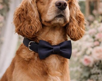 紺色の犬用首輪（蝶ネクタイ付き）、革製リード、結婚式用犬用衣装