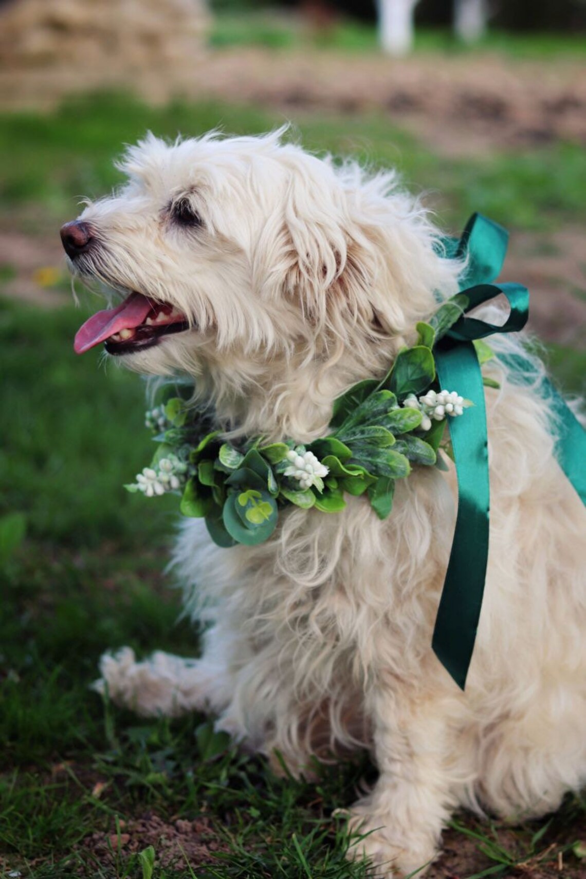 Hunde blumenhalsband Hochzeit Hund Ringträger Etsy