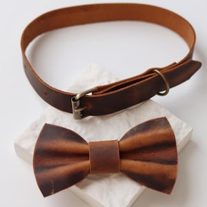 May include: A brown leather dog collar with a metal buckle and a matching bow tie. The collar is circular and has a buckle closure. The bow tie is a classic shape with a center band. The set is displayed on a white surface.