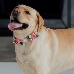 Tenue de mariage pour chien Couronne de fleurs pour chien fille image 8